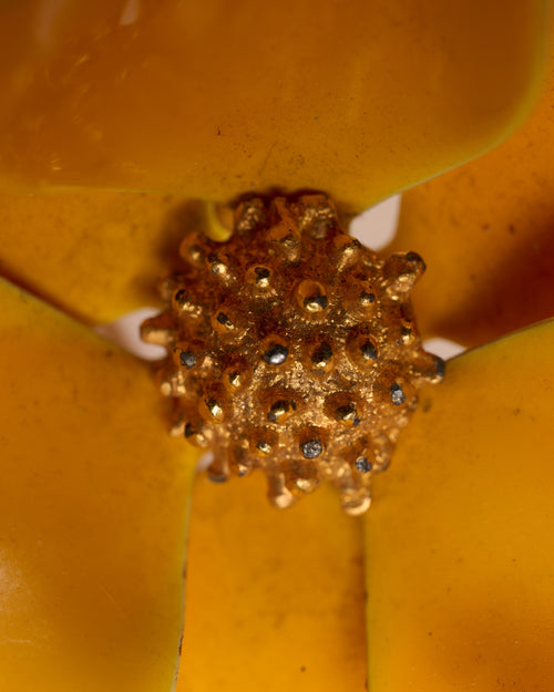 1950s/60s Floral Brooch