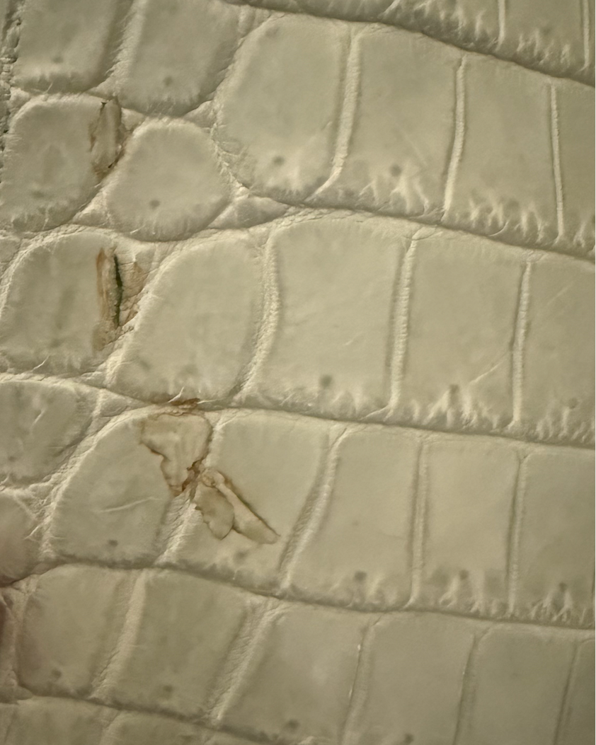 2000s Chado Ralph Rucci Alligator Skirt